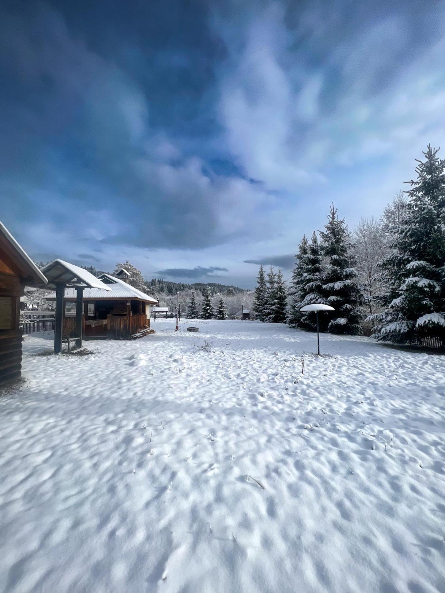 Котедж Шум Черемоша На Березі Річки Verkhovyna Exterior photo